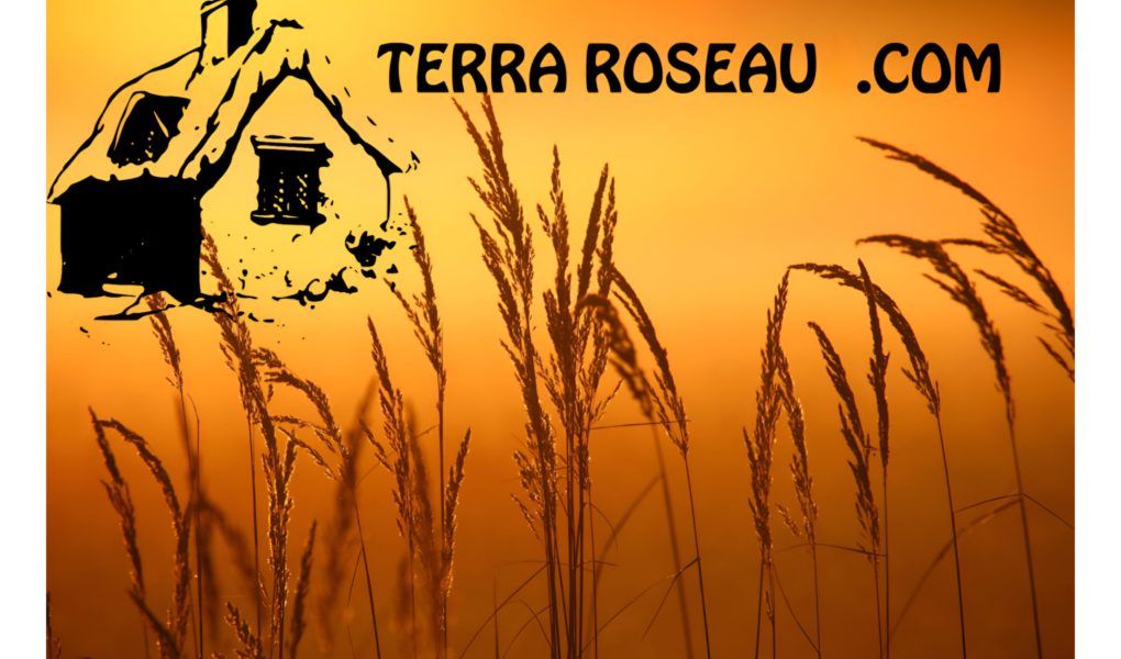 Terra Roseau, spécialiste en conseil et vente de matériaux en roseau biosourcé, paillasson brise-vue ou ombrage, et panneau isolant d'éco-construction.