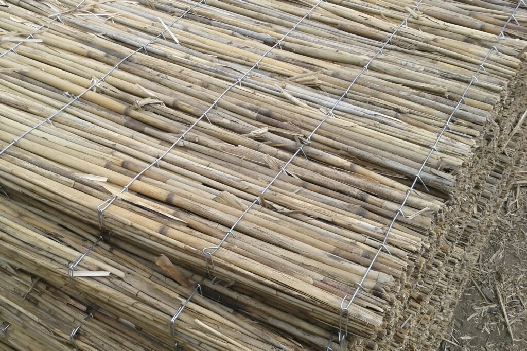 Gros plan sur un panneau de roseau biosourcé avec tiges compressées et trame en fil de fer galvanisé