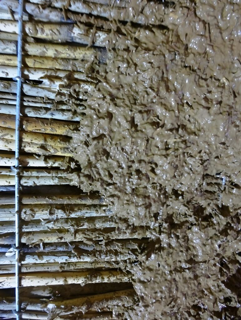 Détail d’un enduit terre appliqué sur un panneau de roseau montrant l’adhérence du matériau sur les tiges