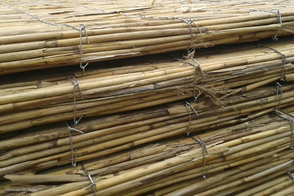 Gros plan sur des panneaux de roseau biosourcés montrant les tiges, les agrafes traversantes et la trame métallique