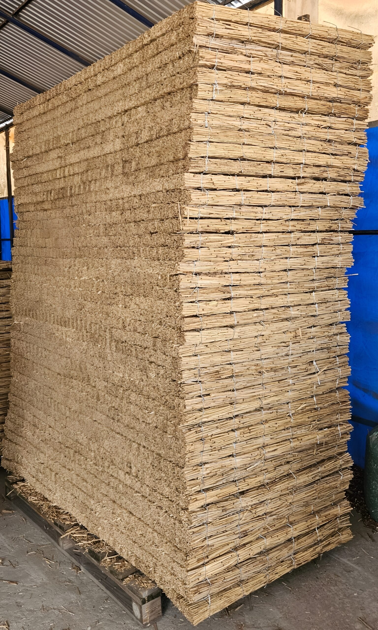 Palette complète de 40 panneaux de roseau 1 × 2 m en épaisseur 5 cm
